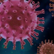 Coronavirus